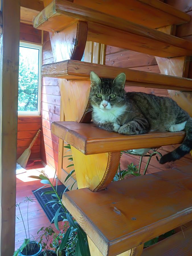 Котедж "Барвінок" เวอร์คอฟเวอนา ภายนอก รูปภาพ