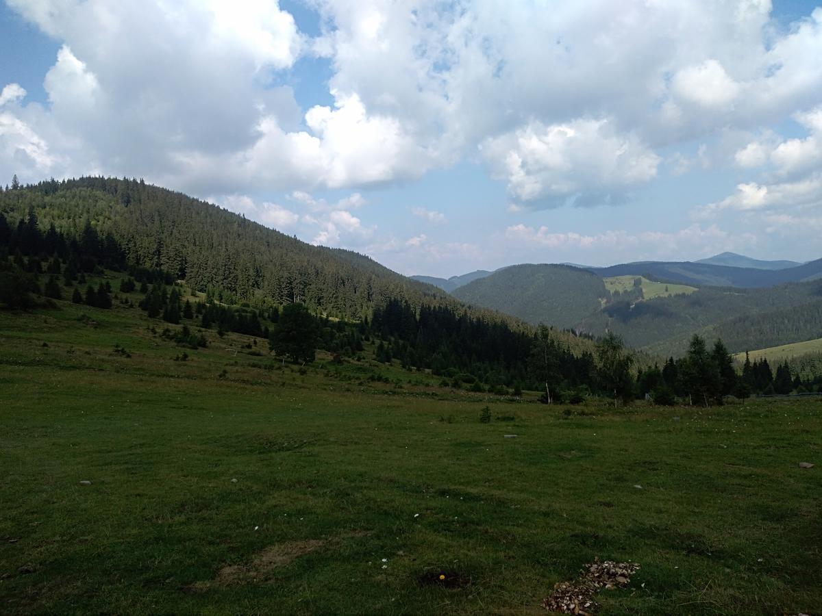 Котедж "Барвінок" เวอร์คอฟเวอนา ภายนอก รูปภาพ